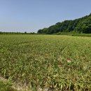 광대경로당 이미지