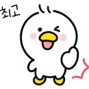 반려동물 양모 초상화 만들기 이미지