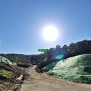 이사위묘 이미지