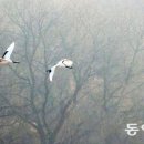 스마트 포토에세이 이미지