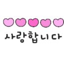 체리애견 이미지