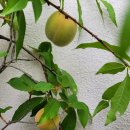 (주)에이원건설 이미지