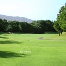 그린힐골프 이미지