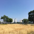 올바른라팡