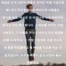 욜로킥복싱&주짓수
