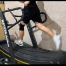 부천한국체대입시 이미지