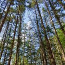 방아다리쉼터1 이미지