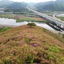 와룡환경산업 | 대구 와룡산 용지봉과 상리봉 후기! 영산홍과 진달래 군락지 명소 최단기 코스 정보! 용미봉-할아버지봉...