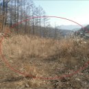 노일리(구룡밭) 이미지