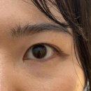 인디봄봄 | 구월동 봄봄래쉬 바짝 속눈썹펌 솔직후기