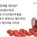 유사나 나리