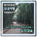 십리대밭 산책로 화장실 | [울산 중구] 조용하게 걷기좋은 태화강 국가정원 십리대숲