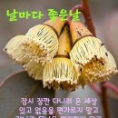 (2월22일/목) 이시간 쥐생원님들은 이미지