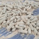 도원역 앞 | 한 번 먹고 세 번은 다시 산 떡｜도원역 창영떡집 인절미 후기