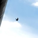 매일목욕탕 이미지