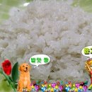 여주 자채쌀 진상 11월30일 도정 쌀 이미지
