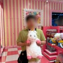 Puss in Boots 2 | 🇸🇬 싱가포르 유니버설 스튜디오 후기 익스프레스티켓