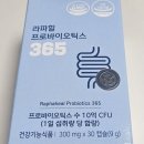 라파힐 이미지