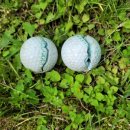 그린힐 골프연습장 이미지