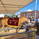 경산종합축산 이미지