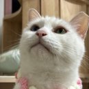 소로3-20 | 메타세콰이어길, 매향, 공다방, 공산성, 로컬커피, 소로빵집, 단편선, 유수서고, 바므, 금강튀김, 곰골...