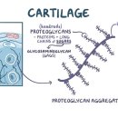 문경약국 이미지