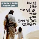250410-동영상,Trip,세레나데,목사님 나가셨다,before sunset 영화 이미지