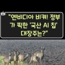 "엔비디아 비켜! 정부가 픽한 '국산 AI 칩' 대장주는?" 이미지