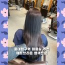 미용실 가시나 | 홍대입구역 미용실 추천 매트브라운 염색 전문