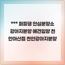 퍼피댕 안심분양소 강아지분양 애견입양 천안아산점 | 안심하고 진행하는 퍼피댕 안심분양소 강아지분양 애견입양 천안아산점 천안강아지분양
