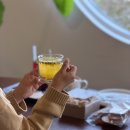 덕정리 | 고창 카페 추천 들꽃 수목원 대형카페 가볼만한 곳