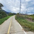 낙동제방 자전거도로 이미지