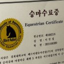GS25 아델리체점 | 26-1 경희대학교 승마 교양 후기