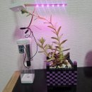 대덕과학 | 18회 주니어닥터 과학 DIY 챌린지 후기