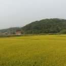 명도1리 마을회관 이미지