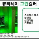 무실초등학교 이미지