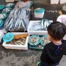 유성토박이 이미지