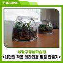 [평생학습 주간] 나만의 작은 테라리움 정원 만들기 이미지