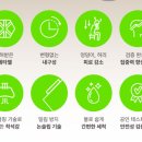 짐헥사곤 | 시디즈 서울대의자와 시디즈 링고의자 비교 실사용 후기ㅣ밸런스온 방석으로 단점 보완하기