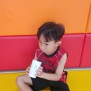 경희대 최강 태권도장 이미지