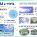 순환의 축복 이미지