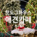 진 하우스 | [구미] 깔끔하고 예쁘게 꾸며진 봉곡동 애견카페 '핫도그 하우스' 내돈내산 후기 (두쫀쿠,두소빵)