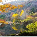 약수천 이미지