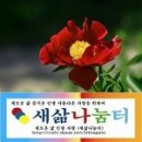 영화주제곡 이미지