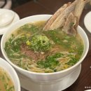 포레스트 오늘숲 안성점 | 안성 쌀국수 포레스트오늘숲 베트남음식 왕갈비 소고기 쌀국수와 스프링롤