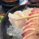 강남논현점현대자동차 | 신논현 횟집 : 보물섬 모둠회 후기 강남야장술집 추천