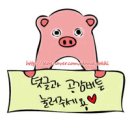 다락토끼의 1박 2일 전주 한옥마을 여행기 ∥ 2편