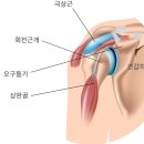 케어타임