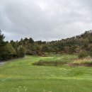 보광그린파크경로당 | [라운딩 후기] 휘닉스CC (feat. hole by hole 소개)