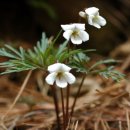 간촌공원(연희동) 이미지